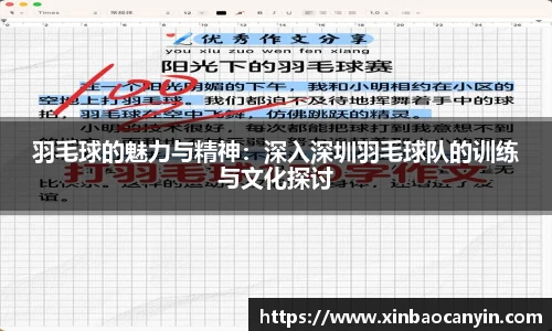 羽毛球的魅力与精神:深入深圳羽毛球队的训练与文化探讨